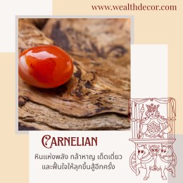 The Chariot x Carnelian