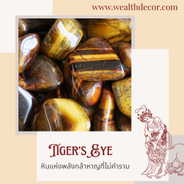 Strength x Tigers Eye