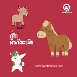 เจาะลึก นักษัตรปีมะเมีย ม้า (马 Mǎ) ม้าคึกคนอง รักอิสระ 