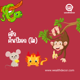 เจาะลึก นักษัตรปีวอก ลิง (猴 Hóu): วอกฉลาด มีเสน่ห์ เจ้าชู้ 