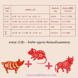 จับคู่ธุรกิจให้ปัง! ซาฮะ & ซาฮวย 