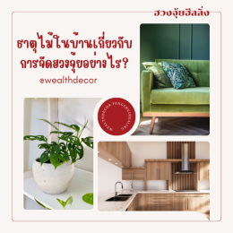 ธาตุไม้ในบ้านสอดคล้องกับฮวงจุ้ยหรือไม่?