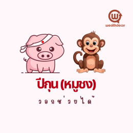 เตรียมพร้อมรับมือกับปีงูไม้หยิน 2568