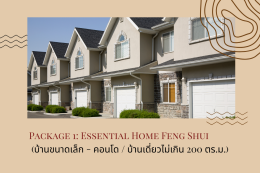 WealthDecor Luxury Home Feng Shui Packages