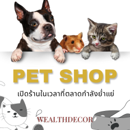 อี้จิงเข็มทิศชีวิตที่ช่วยคุณหลีกเลี่ยงความผิดพลาดครั้งใหญ่