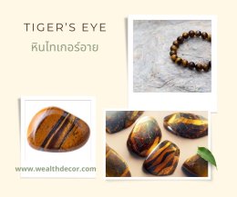 Tiger's Eye  นัตย์ตาเสือ หินแห่งความกล้าหาญ