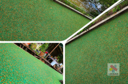พื้นยาง พื้นepdm พื้นยางสังเคราะห์ พื้นยางฟิตเนส พื้นยางกันกระแทก พื้นยางสนามกีฬา พื้นยางสนามเด็กเล่น