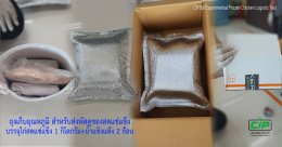 ถุงเก็บอุณหภูมิ