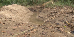 เกษตรกร2ตำบลในอำเภอวังเหนือเริ่มได้รับผลกระทบจากภัยแล้งแม่น้ำวังเริ่มแห้งขอด