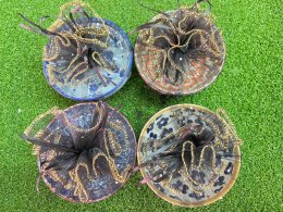 ของชำร่วยงานศพใช้งานได้จริง เลือกแบบไหนดีให้แขกนำไปใช้ได้จริง