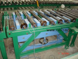 Application of roller conveyor