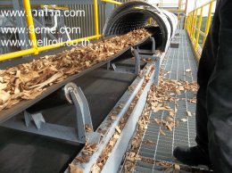 สายพานลำเลียง(Belt conveyor)