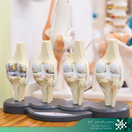 ORTHOPEDIC: BONE & JOINT