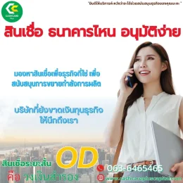 สินเชื่อธนาคารไหนอนุมัติง่าย