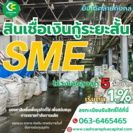 สินนเชื่อเงินกู้ระยะสั้น