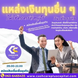 แหล่งเงินทุนอื่น ๆ