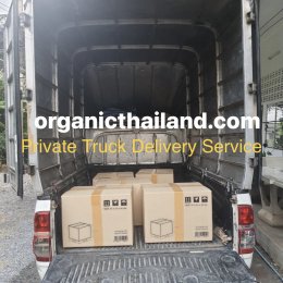 Delivery All Areas