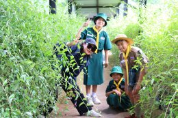 ค่ายลูกเสือ-เนตรนารี