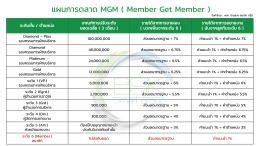 แผนการตลาด MGM กับศรีกรุงโบรคเกอร์ แผนรายได้