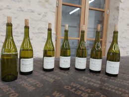 Wine Tasting Domaine De Villaine