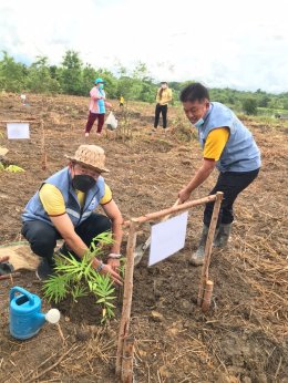 โครงการปลูกป่าเพื่ออนุรักษ์ธรรมชาติและสิ่งแวดล้อมอย่างยั่งยืน ในวันต้นไม้ประจำปีของชาติ พ.ศ.2565