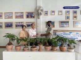 หอการค้าจังหวัดฉะเชิงเทรา ให้ความช่วยเหลือช่วยสนับสนุนด้านการตลาดสินค้า  “มะพร้าวบอนไซ” เพื่อส่งเสริมอาชีพผู้พิการทางการเคลื่อนไหว อำเภอท่าตะเกียบ  จังหวัดฉะเชิงเทรา 
