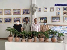 หอการค้าจังหวัดฉะเชิงเทรา ให้ความช่วยเหลือช่วยสนับสนุนด้านการตลาดสินค้า  “มะพร้าวบอนไซ” เพื่อส่งเสริมอาชีพผู้พิการทางการเคลื่อนไหว อำเภอท่าตะเกียบ  จังหวัดฉะเชิงเทรา 