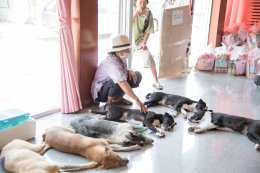  ประธานหอการค้าจังหวัดฉะเชิงเทรา ร่วมเปิดโครงการสัตว์แพทย์เคลื่อนที่สัญจร สมาคมนักเรียนเก่าสัตวแพทย์ กรมปศุสัตว์ ในพระอุปถัมภ์ พระเจ้าวรวงศ์เธอ พระองค์เจ้าโสมสวลี กรมหมื่นสุนธนารีนาถ