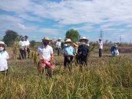 โครงการ “เกษตรปลอดภัยสูง”