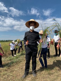 โครงการ “เกษตรปลอดภัยสูง”