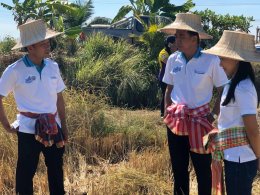 โครงการเกษตรปลอดภัยสูง