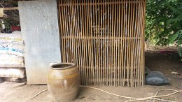 โครงการส่งเสริมและป้องกันโรคระบาดในสัตว์เลี้ยง ประจำปี ๒๕๖๓