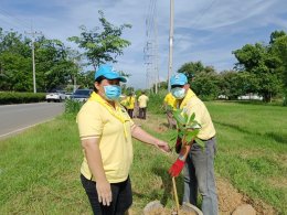 โครงการปกป้องสถาบันสำคัญของชาติ(ปลูกต้นไม้) 