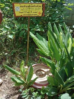 อบต.สิงห์ รณรงค์การจัดทำถังขยะเปียกครัวเรือนและรับสมัครอาสาสมัครท้องถิ่นรักษ์โลก ณ วันที่ 24-28 มิถุนายน ,3-9 กรกฎาคม  2562 ที่ หมู่ที่ 1-6