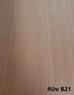 BEAVER PROFILE