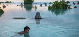 Red Code in climate change