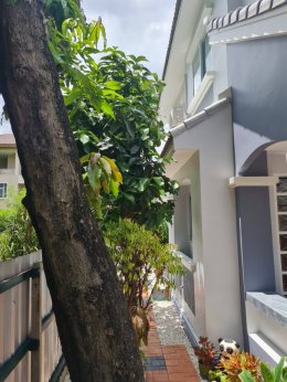 รีโนเวทบ้านเก่าสองชั้น