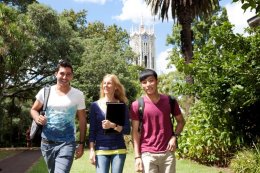 Languages International NZ