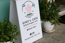 Hydrangea Cafe Khao Kho - จิบกาแฟ ดื่มด่ำบรรยากาศทุ่งดอกไม้ แบบ 360 องศา