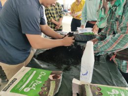 Planting Promotion and Development Project in conjunction with the Agricultural Extension Division Mueang District Agriculture Office, Lamphun Province