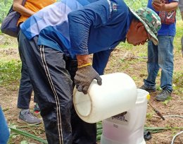 วช. ลงพื้นที่นำชีวภัณฑ์แบคทีเรียช่วยเกษตรกร ชาวสวนปาล์มกำจัดโรคโคนเน่าในต้นปาล์มน้ำมัน ที่จังหวัดสุราษฏร์ธานี