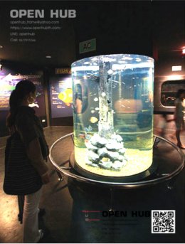 Songkhla Aquarium 