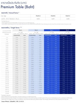 ประกันภัยการเดินทาง AIG Travel