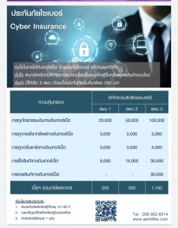 ประกันภัยไซเบอร์ Cyber Insurance