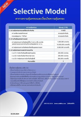 ประกันภัยรถยนต์ ประเภท 1 Selective Model