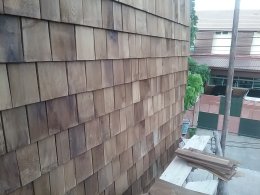 Cedar 