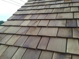 Cedar 