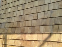 Cedar 