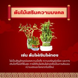 ของขวัญมงคลรับตรุษจีน สื่อความหมายดี ส่งต่อความเฮง