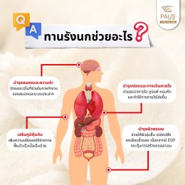 รวมข้อสงสัยยอดฮิต พอสรังนกมีคำตอบให้